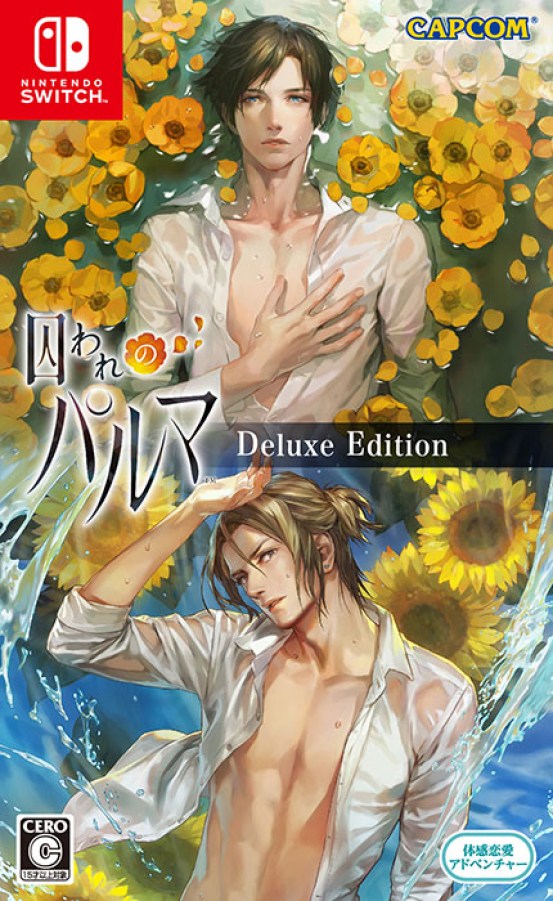 CAPCOM_palm_jkt_v7_RGB_OL