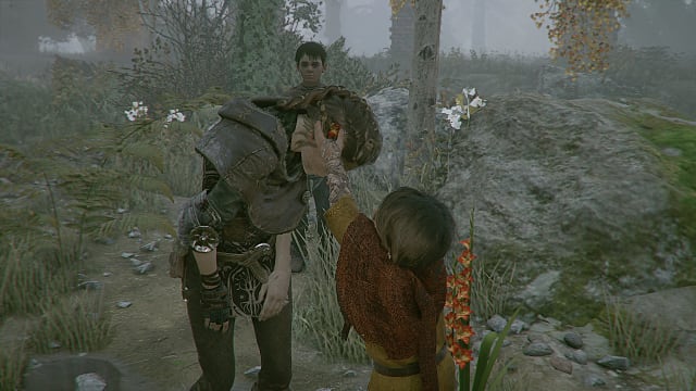A Plague Tale: Innocence, Collectibles