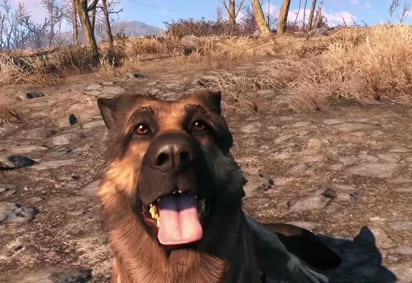 Dogmeat (Fallout)