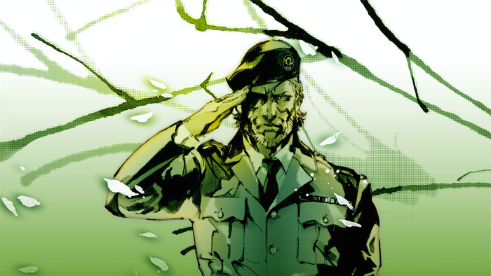 Metal Gear Solid 3, Video Game Stories That Are Super Depressing