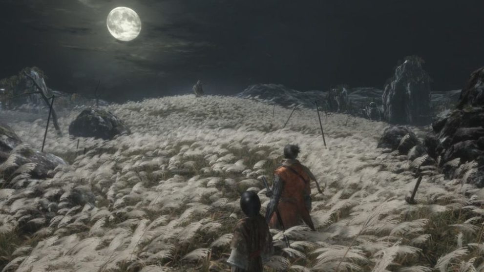 sekiro, photo mode