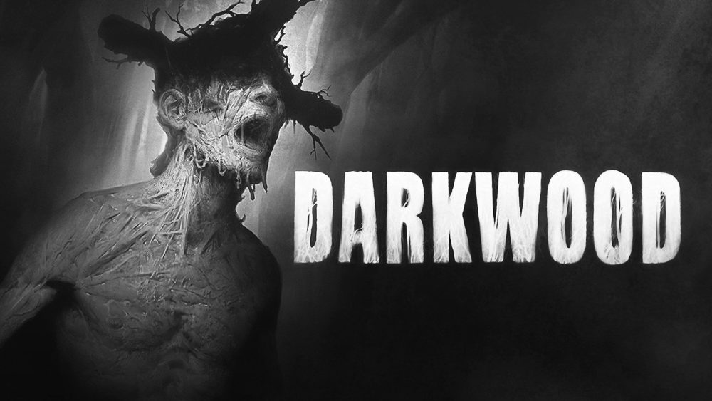 darkwood review