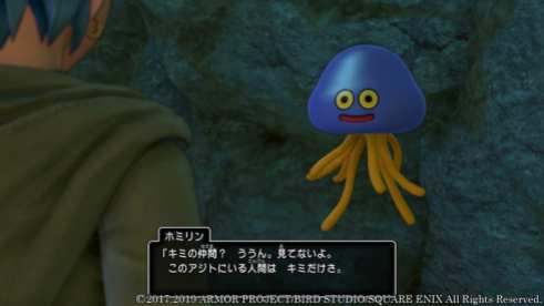 Dragon Quest XI S (11)