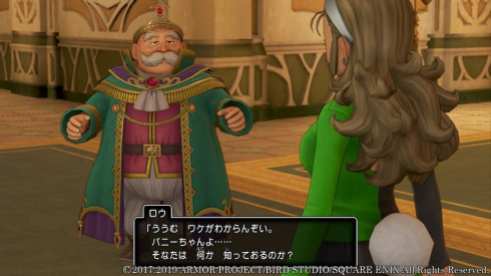 Dragon Quest XI S (19)