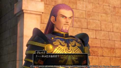 Dragon Quest XI S (20)