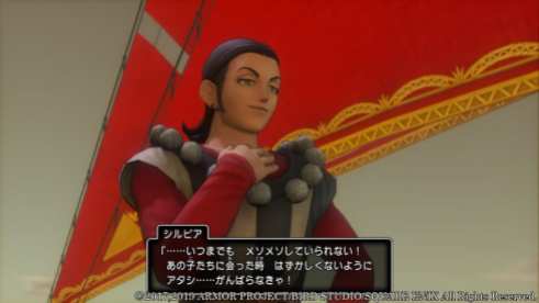 Dragon Quest XI S (5)
