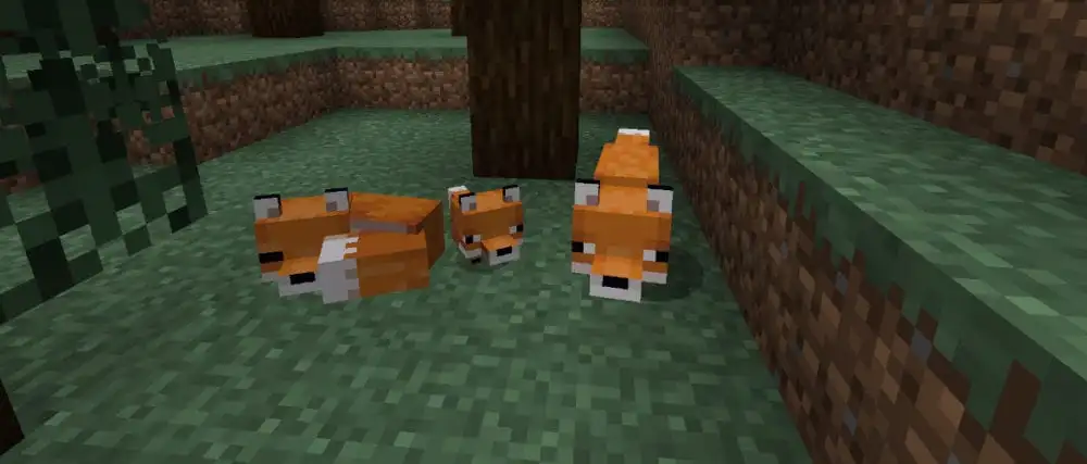 Foxes in Minecraft