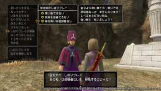 Dragon Quest XI S (8)