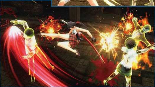 Onechanbara Origin