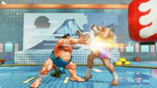 Street Fighter V (13)