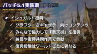 Final Fantasy XIV (21)