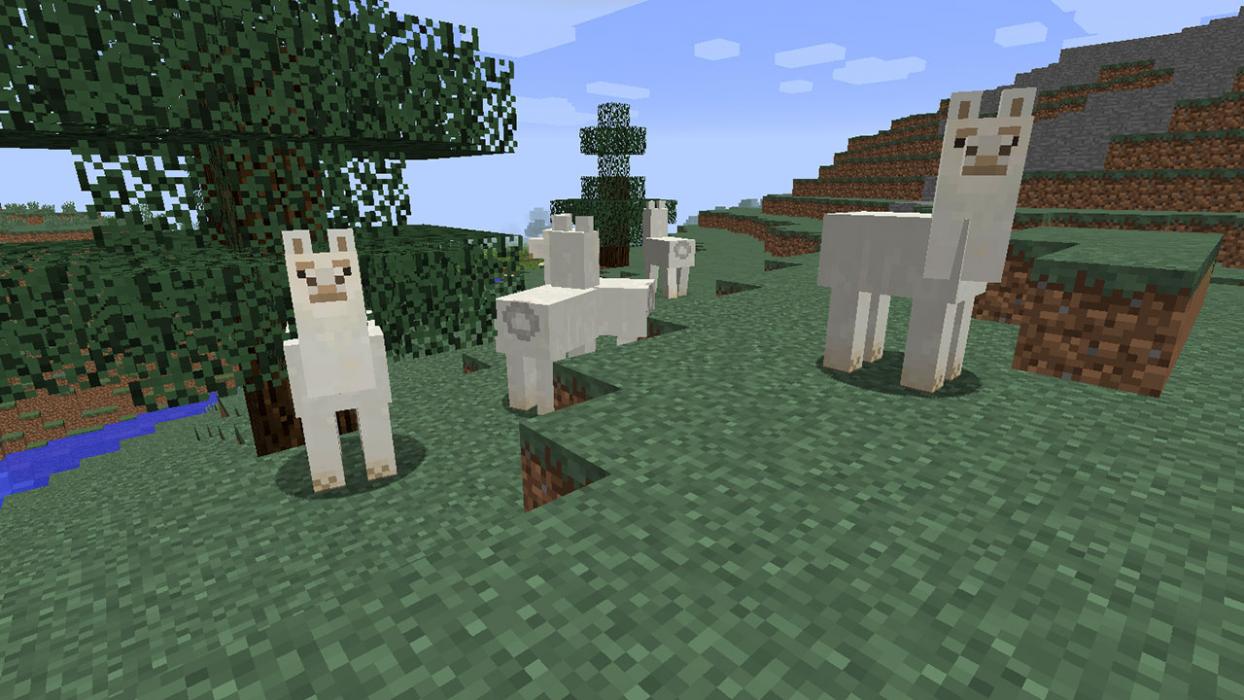 Can You Ride Llamas In Minecraft Ps4 Minecraft How To Breed Llamas