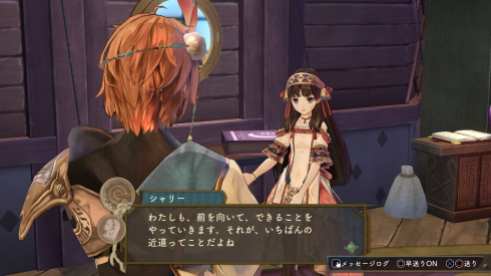 Atelier Dusk Trilogy (27)