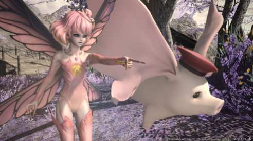 Final Fantasy XIV (7)