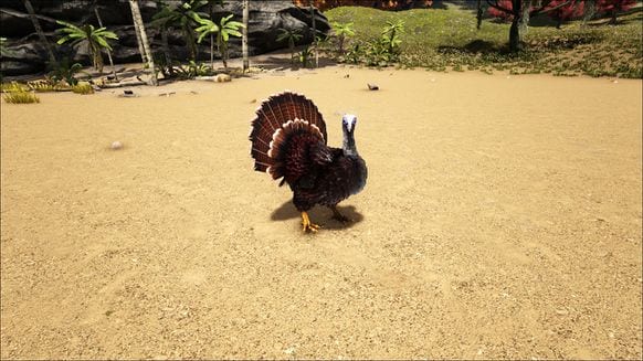 ARK: Survival Evolved Turkey, thanksgiving