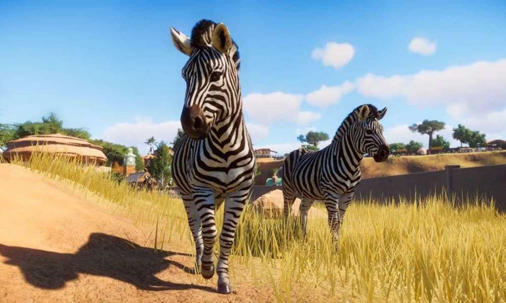 Zoo How to Access Sandbox Mode