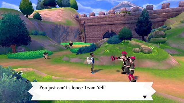 Pokemon Sword & Shield Team Yell