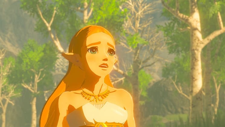 breath of the wild, cyber sale, eshop, nintendo, black friday, first-party