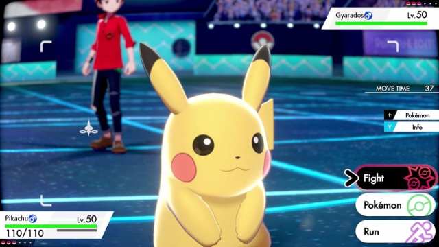 Pokémon Sword & Shield: What To Do Once You Beat The Game