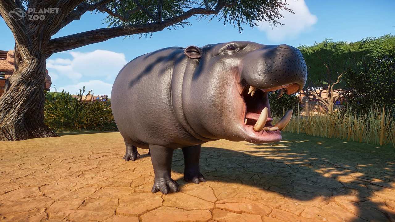 Zoo How to Breed Animals