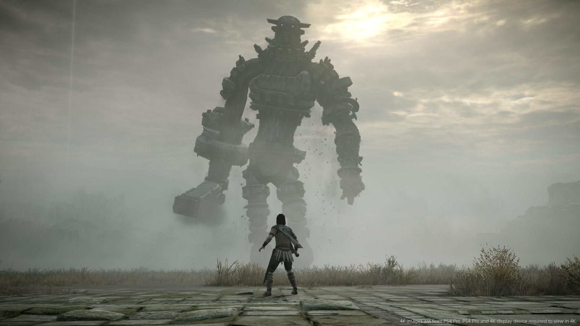 shadow of the colossus, best games to buy ps store end of year sale, psn store sale, discounts, 2019