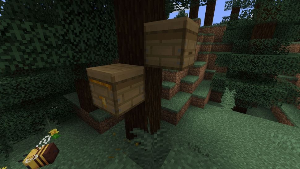 two beehives on a tree in Minecraft