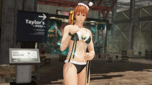 Dead or Alive 6 (15)