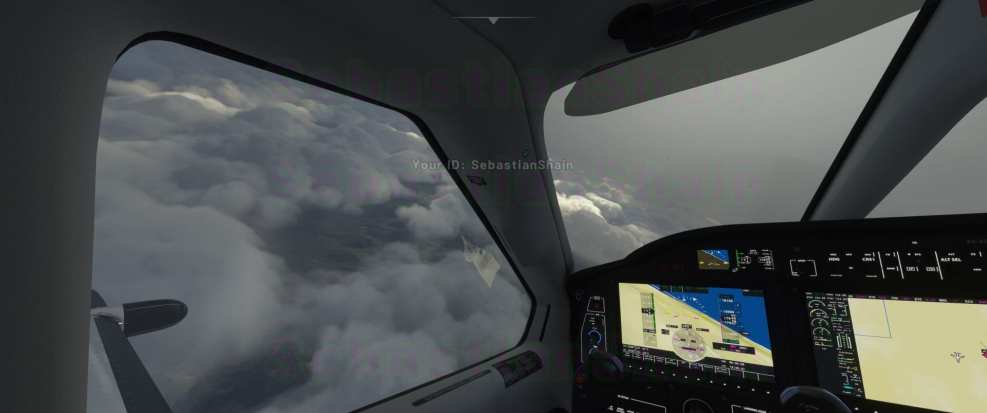 Microsoft Flight Simulator (6)