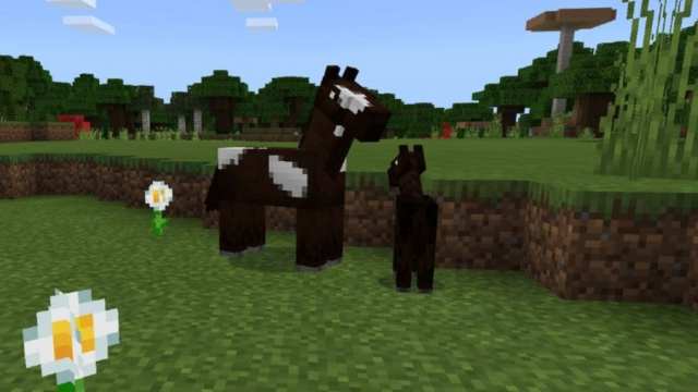 breeding horses in Minecraft