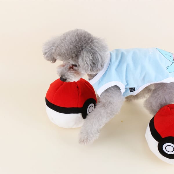 This Pokemon Clothing Line for Dogs Is the Definition of Delightful