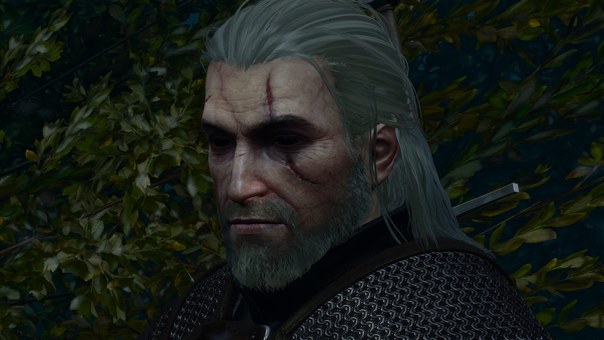 Witcher mods. Геральт. Визимир Ведьмак Нетфликс. Ведьмак Нетфликса Геральт хмурится.