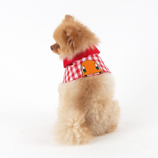 This Pokemon Clothing Line for Dogs Is the Definition of Delightful