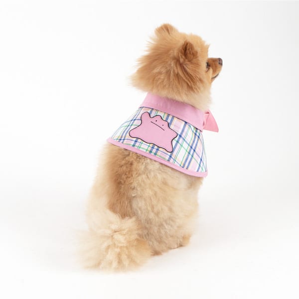 This Pokemon Clothing Line for Dogs Is the Definition of Delightful