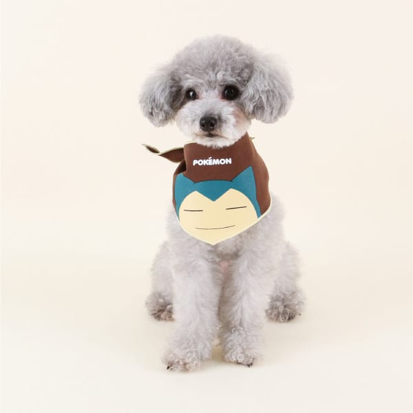 This Pokemon Clothing Line for Dogs Is the Definition of Delightful