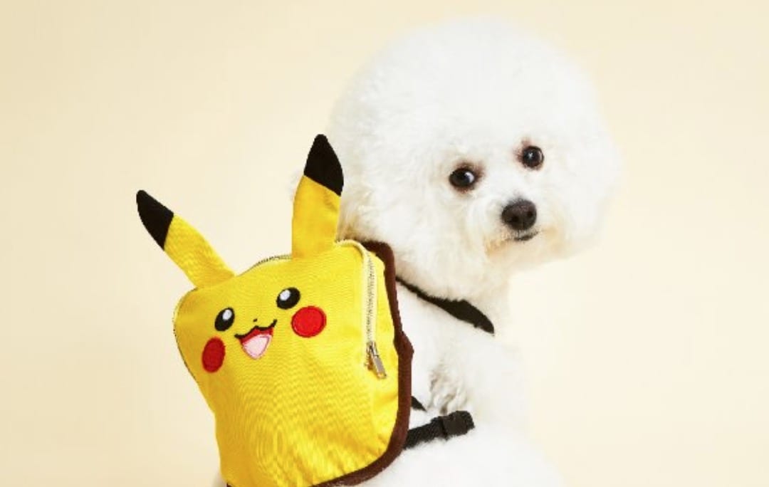 pokemon clothing line for dogs