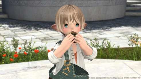 Final Fantasy XIV (14)