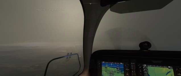 Flight Simulator 2020 (8)