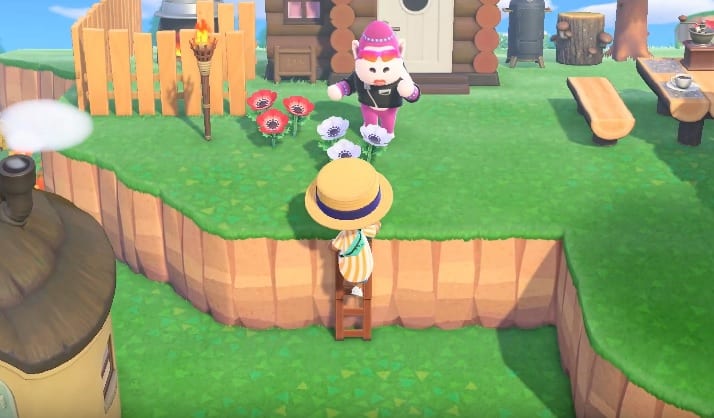 ladder, cliffs, animal crossing new horizons