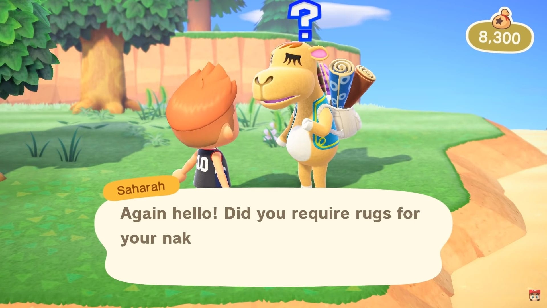 Animal Crossing New Horizons: Is Saharah in the Game? Answered
