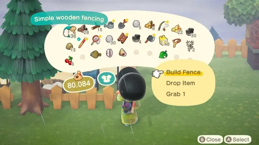 Build Fences 