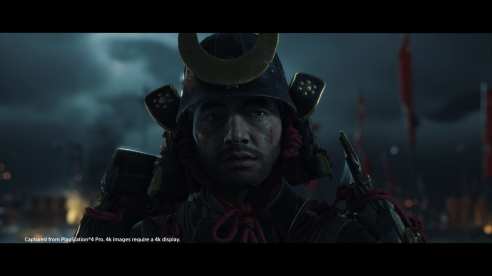 Ghost of Tsushima (11)