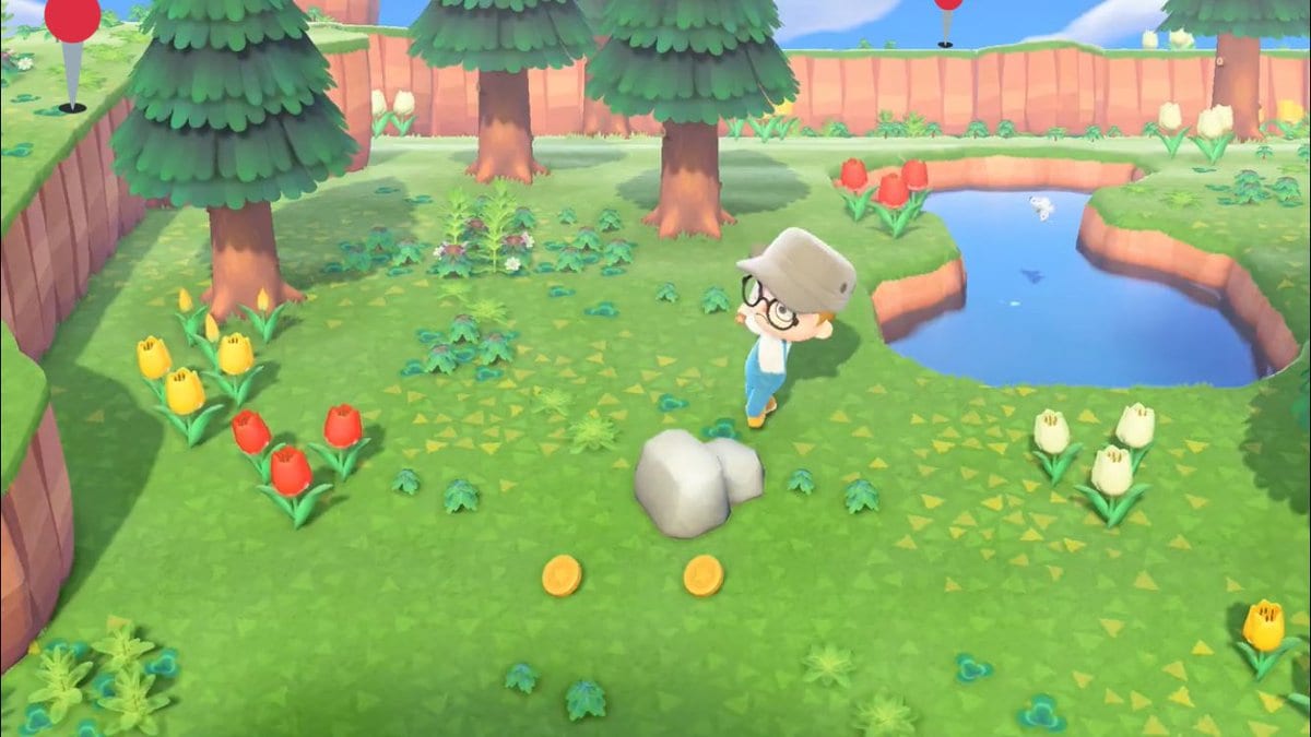10 Things to Do First in Animal Crossing: New Horizons