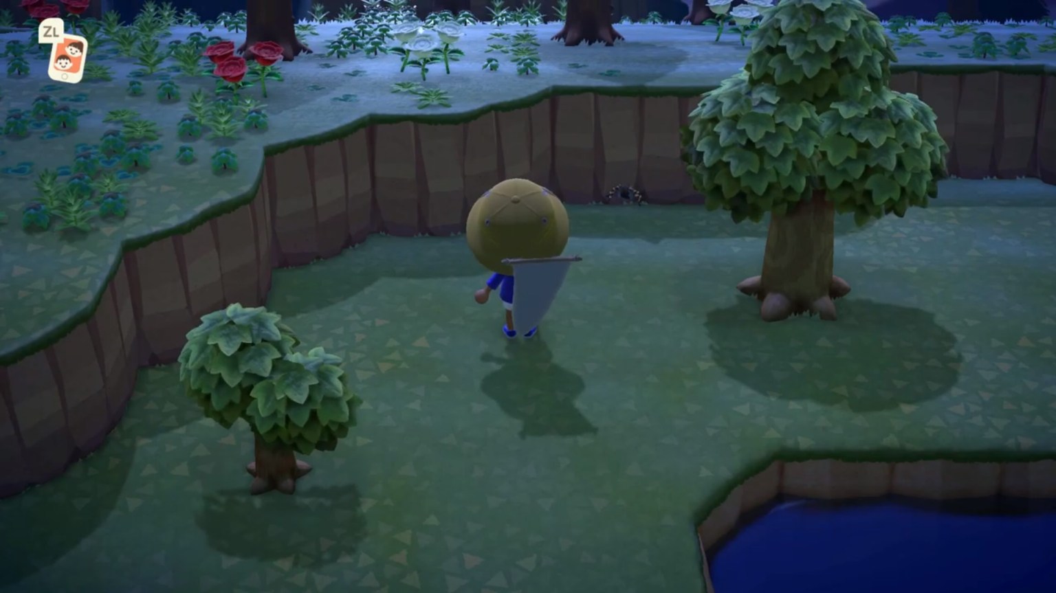 Animal Crossing New Horizons How to Catch Tarantulas Twinfinite