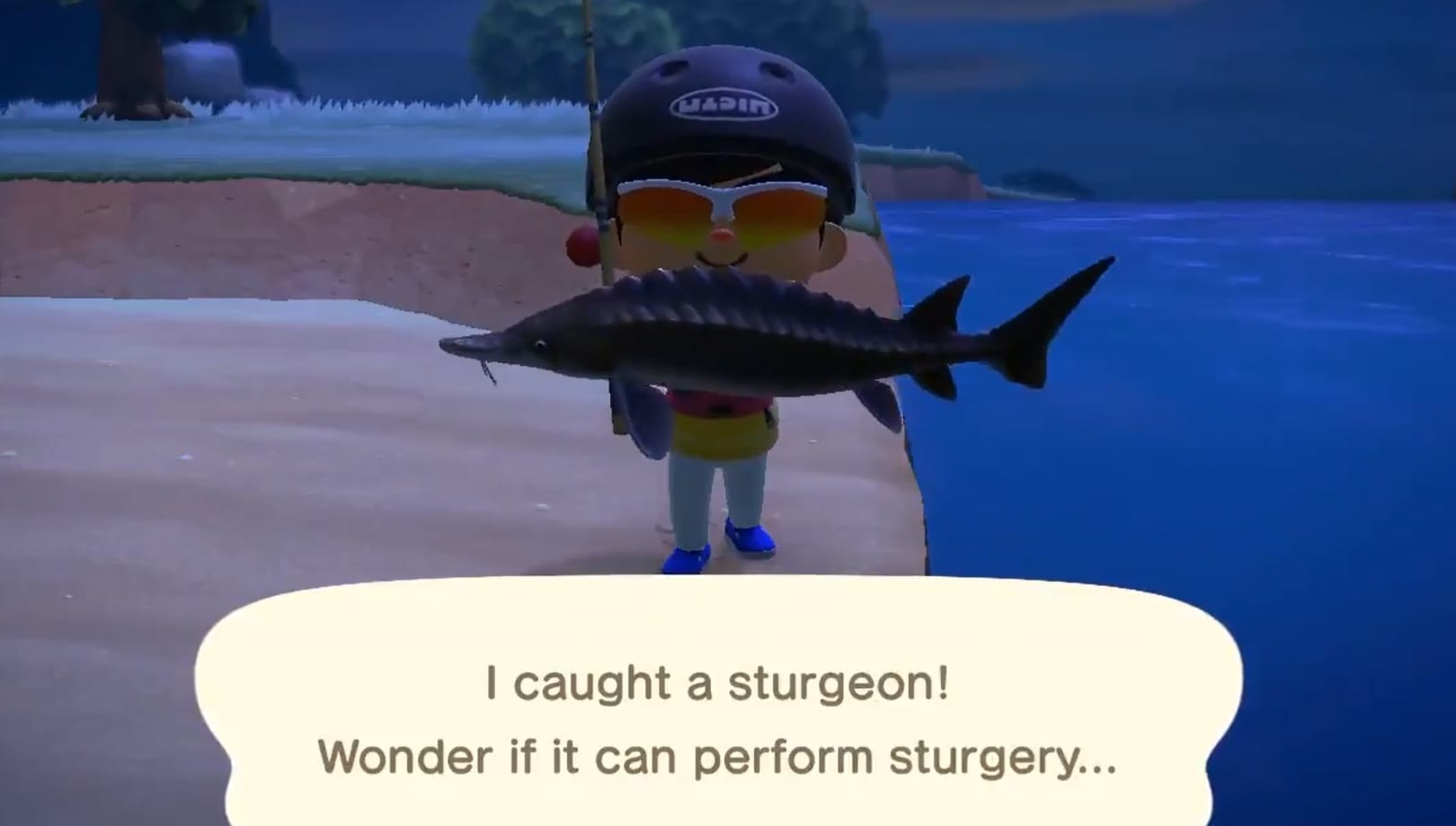 Make Sure to Catch These Fish and Bugs in Animal Crossing New Horizons