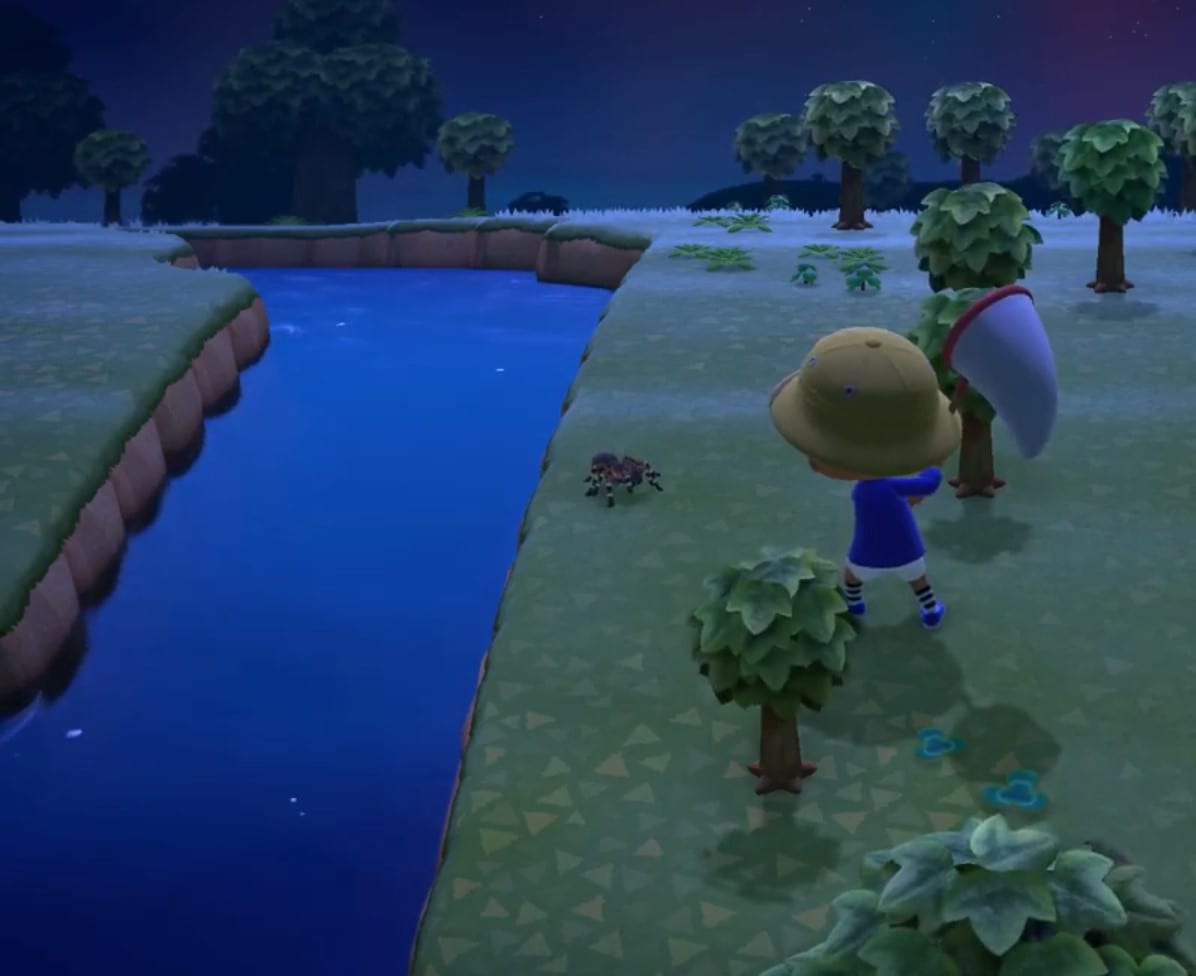 Animal Crossing New Horizons How to Catch Tarantulas Twinfinite