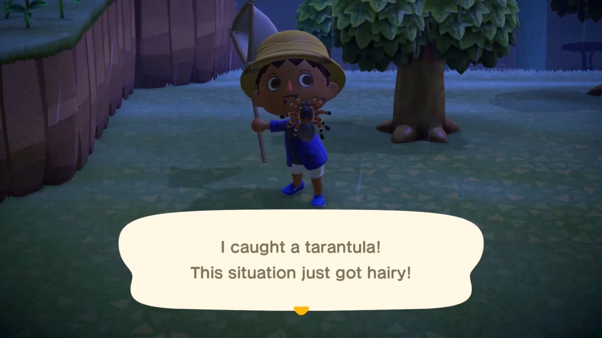 Animal Crossing New Horizons: How to Catch Tarantulas