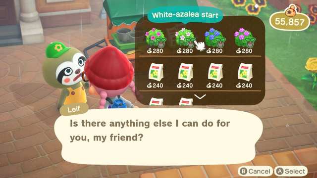 Pansies in Animal Crossing New Horizons