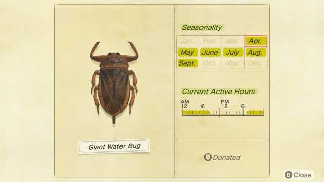 Giant water bug in animal crossing new horizons