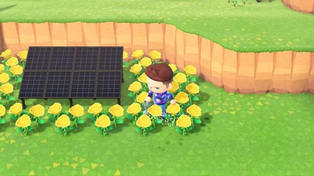 Animal Crossing New Horizons Gold Rose