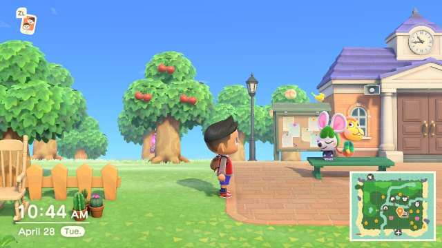 Can You Catch Birds in Animal Crossing New Horizons?